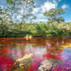 Illustration for article titled Absolutely Stunning Examples Of Lakes And Rivers With Unearthly Colors